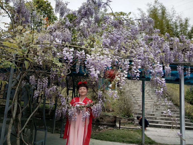 莉莉的第一张照片--金门婚介网