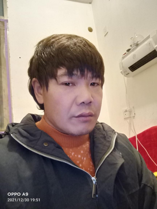 小鸟找窝的第一张照片--金门婚介网